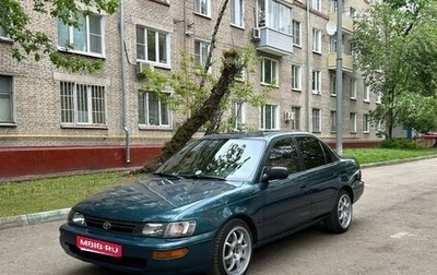 Toyota Corolla, 1993 год, 410 000 рублей, 1 фотография