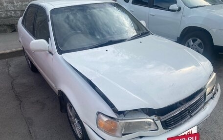 Toyota Corolla, 1995 год, 150 000 рублей, 3 фотография