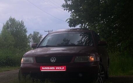 Volkswagen Passat B5+ рестайлинг, 1999 год, 300 000 рублей, 1 фотография