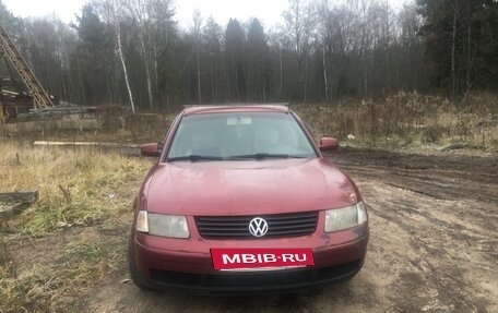 Volkswagen Passat B5+ рестайлинг, 1999 год, 300 000 рублей, 3 фотография