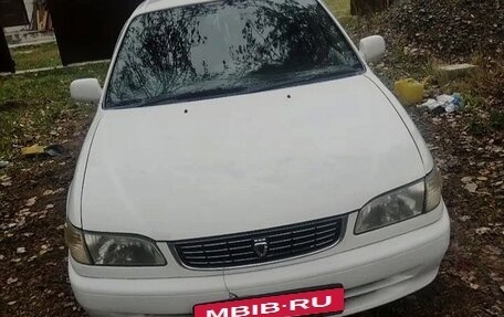 Toyota Corolla, 1999 год, 310 000 рублей, 1 фотография