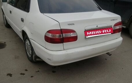 Toyota Corolla, 1999 год, 310 000 рублей, 2 фотография