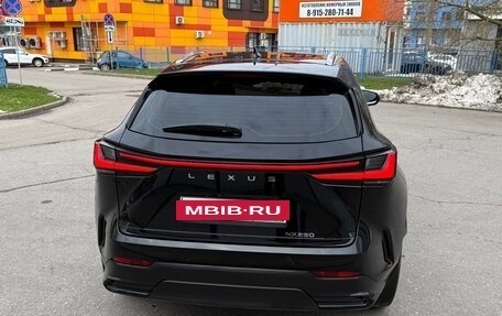 Lexus NX, 2021 год, 5 300 000 рублей, 6 фотография