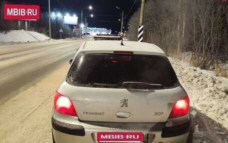 Peugeot 307 I, 2003 год, 260 000 рублей, 3 фотография