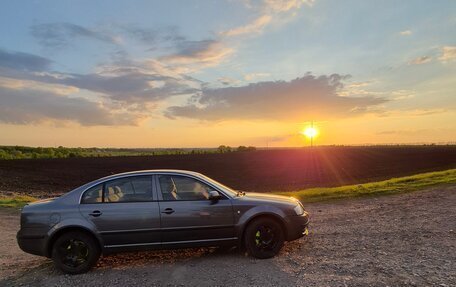 Skoda Superb III рестайлинг, 2003 год, 500 000 рублей, 19 фотография