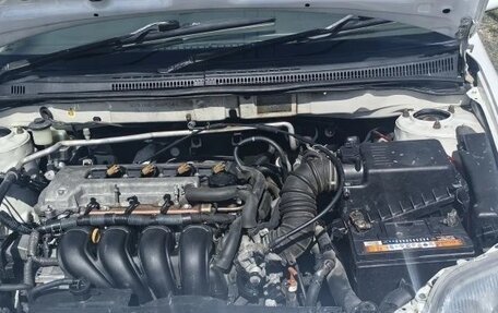 Toyota Corolla, 2002 год, 420 000 рублей, 4 фотография