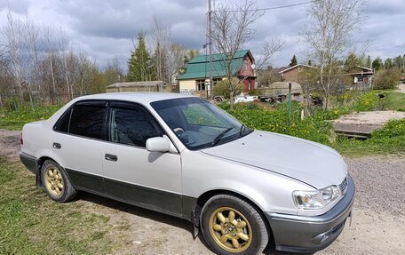 Toyota Corolla, 1999 год, 330 000 рублей, 1 фотография