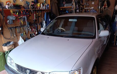 Toyota Corolla, 1999 год, 330 000 рублей, 6 фотография