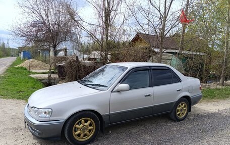 Toyota Corolla, 1999 год, 330 000 рублей, 2 фотография
