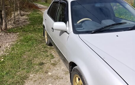 Toyota Corolla, 1999 год, 330 000 рублей, 5 фотография