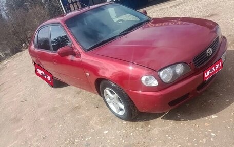 Toyota Corolla, 2001 год, 120 000 рублей, 1 фотография