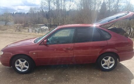 Toyota Corolla, 2001 год, 120 000 рублей, 5 фотография