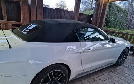 Ford Mustang VI рестайлинг, 2019 год, 2 800 000 рублей, 7 фотография