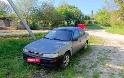 Toyota Corolla, 1997 год, 125 000 рублей, 1 фотография