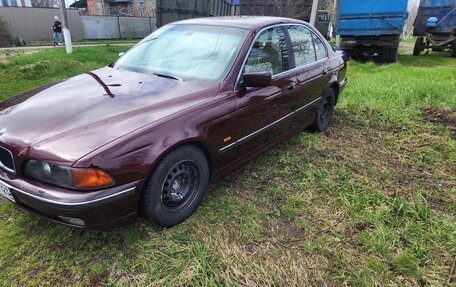 BMW 5 серия, 1998 год, 600 000 рублей, 2 фотография