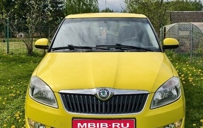 Skoda Fabia II, 2010 год, 590 000 рублей, 1 фотография