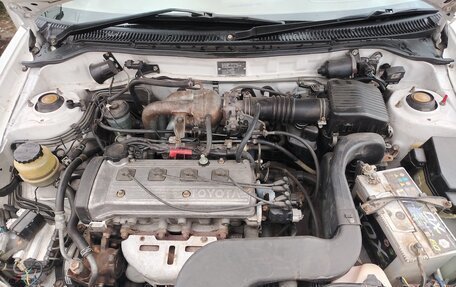 Toyota Corsa, 1999 год, 296 000 рублей, 12 фотография