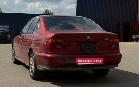 BMW 5 серия, 2002 год, 500 000 рублей, 4 фотография