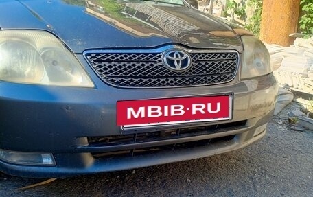 Toyota Corolla, 2003 год, 540 000 рублей, 1 фотография