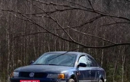Volkswagen Passat B5+ рестайлинг, 1997 год, 110 000 рублей, 2 фотография