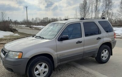 Ford Escape II, 2001 год, 420 000 рублей, 1 фотография