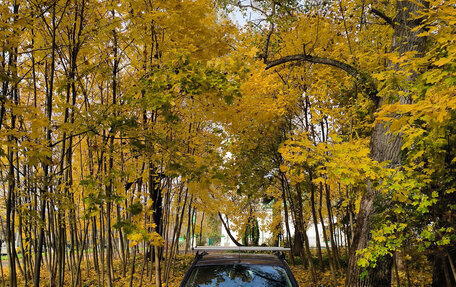 Ford Fiesta, 2006 год, 540 000 рублей, 1 фотография