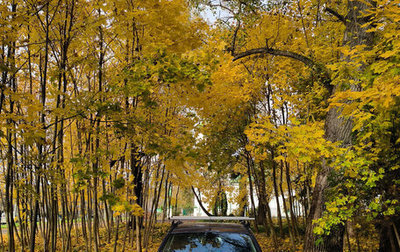 Ford Fiesta, 2006 год, 540 000 рублей, 1 фотография