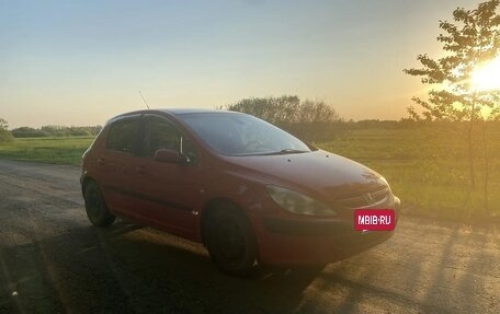Peugeot 307 I, 2004 год, 250 000 рублей, 4 фотография