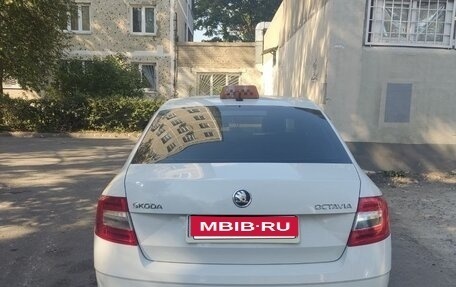 Skoda Octavia, 2019 год, 910 000 рублей, 1 фотография