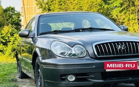 Hyundai Sonata IV рестайлинг, 2002 год, 203 000 рублей, 6 фотография