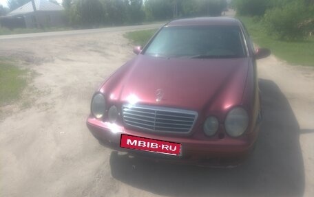 Mercedes-Benz CLK-Класс, 1997 год, 220 000 рублей, 2 фотография