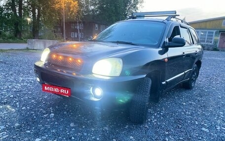 Hyundai Santa Fe III рестайлинг, 2003 год, 330 000 рублей, 2 фотография