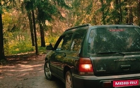 Subaru Forester, 1998 год, 350 000 рублей, 4 фотография