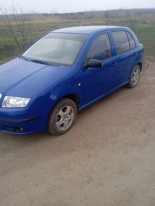 Skoda Fabia I рестайлинг, 2005 год, 370 000 рублей, 5 фотография