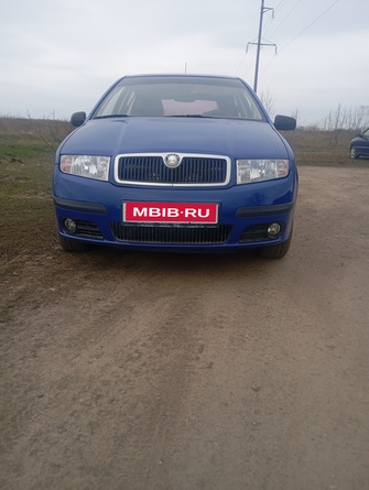Skoda Fabia I рестайлинг, 2005 год, 370 000 рублей, 1 фотография