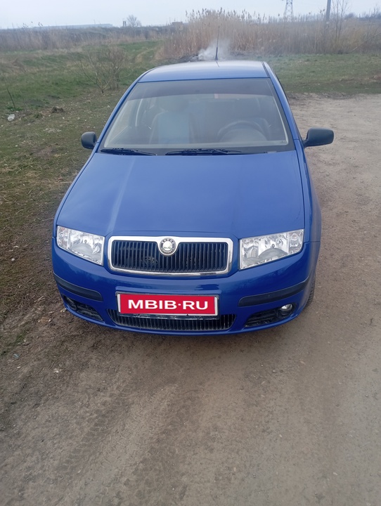Skoda Fabia I рестайлинг, 2005 год, 370 000 рублей, 2 фотография