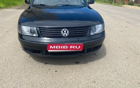 Volkswagen Passat B5+ рестайлинг, 1999 год, 420 000 рублей, 4 фотография