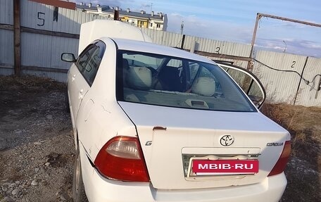 Toyota Corolla, 2004 год, 370 000 рублей, 6 фотография