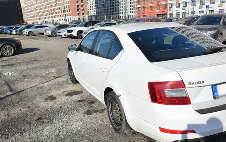 Skoda Octavia, 2013 год, 1 300 000 рублей, 2 фотография