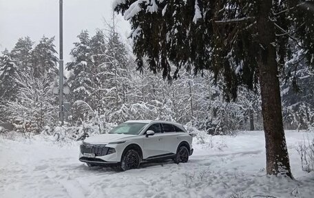 Haval F7, 2024 год, 2 490 000 рублей, 8 фотография