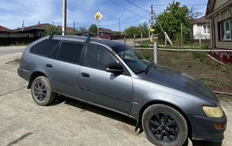Toyota Corolla, 1996 год, 130 000 рублей, 2 фотография