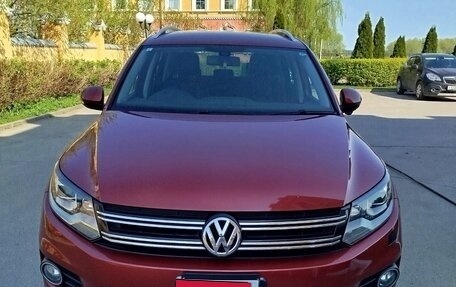 Volkswagen Tiguan I, 2012 год, 1 100 000 рублей, 3 фотография