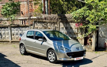 Peugeot 307 I, 2006 год, 440 000 рублей, 8 фотография