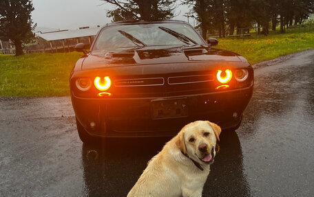 Dodge Challenger III рестайлинг 2, 2019 год, 2 280 000 рублей, 2 фотография