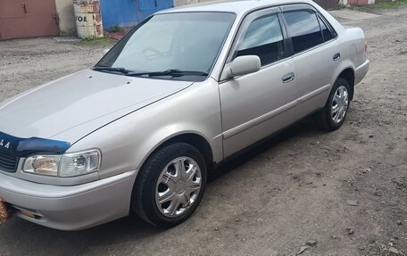 Toyota Corolla, 1999 год, 350 000 рублей, 9 фотография