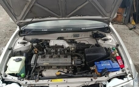 Toyota Corolla, 1999 год, 350 000 рублей, 2 фотография