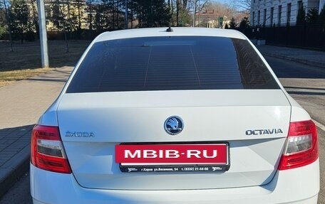 Skoda Octavia, 2019 год, 1 650 000 рублей, 7 фотография