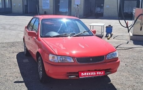 Toyota Corolla, 1999 год, 229 000 рублей, 1 фотография