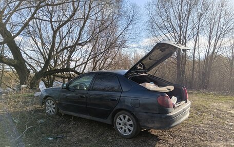 Toyota Avensis III рестайлинг, 1998 год, 125 000 рублей, 5 фотография