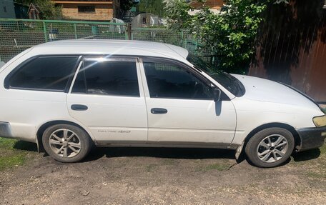 Toyota Corolla, 2002 год, 250 000 рублей, 12 фотография